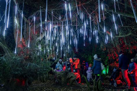 24 pictures of spectacular Christmas lights display at the Wimpole Estate, Cambridgeshire