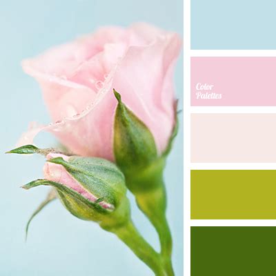 pink and green | Color Palette Ideas