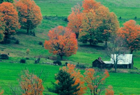 Autumn in New England - Dorothy Greco