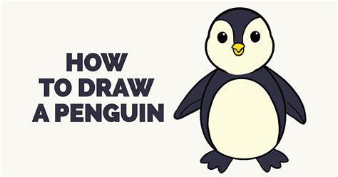 How to Draw a Penguin in a Few Easy Steps | Easy Drawing Guides