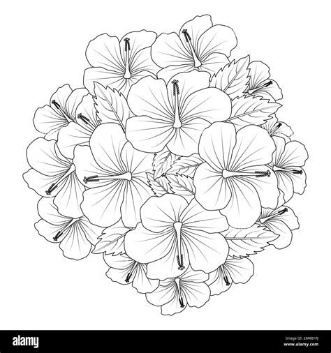 chinese hibiscus flower hand drawn coloring page illustration with line ...