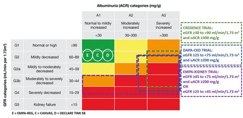 EMPA-Kidney: ‘Empa’sizing the role of Flozins in Chronic Kidney Disease — NephJC