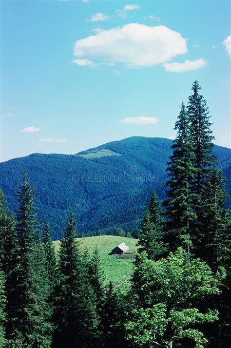 Landscape of karpaty stock photo. Image of mountains, clean - 7780802