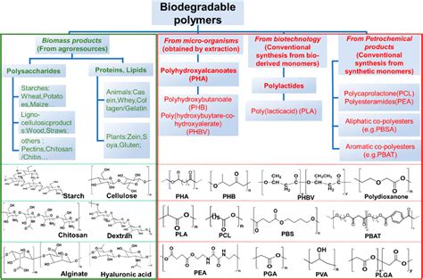 Frontiers | Biodegradable polymeric materials for flexible and ...