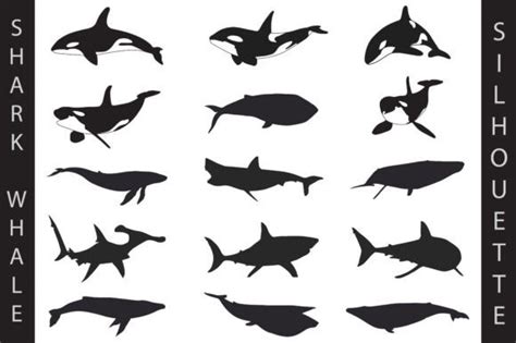 Shark and Whale Silhouette Graphic by davector · Creative Fabrica