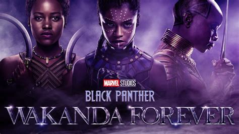 Black Panther 2: Wakanda Forever Google TV HD Digital Code (Redeems In ...