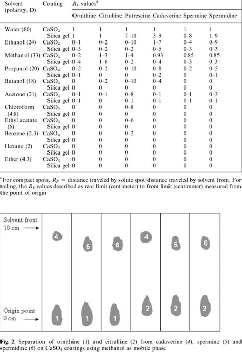 R F values of polyamines on calcium sulfate and silica gel coatings... | Download Table