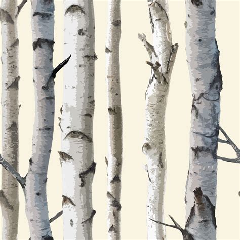 Birch Tree Wallpaper | Walmart Canada