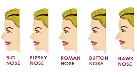 What Your Nose Shape Reveals About Your Personality?