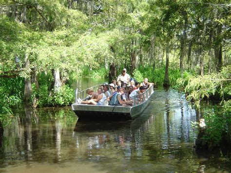 Alligators up close and personal: what to expect on an Alligator Tour New Orleans - Pearl River ...