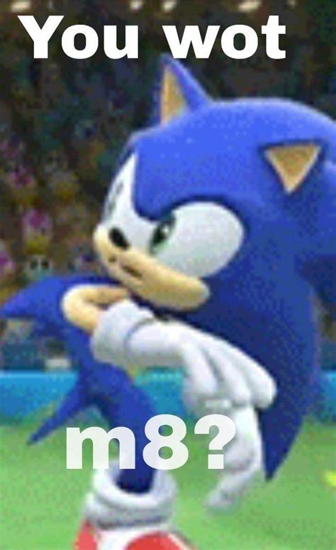 SONIC MEMES | Sonic the Hedgehog! Amino