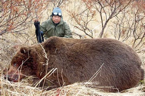 Photos | Kodiak Bear Hunting Guide