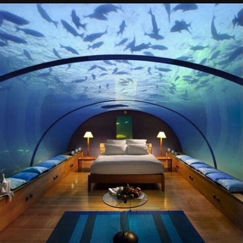 The astonishing Jules Undersea Lodge. An underwater hotel in Key Largo ...