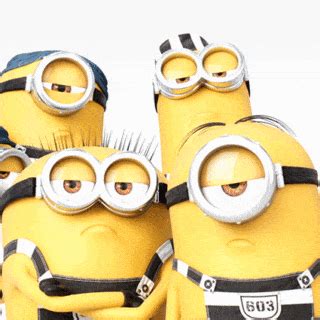 Make A Burrito Bowl And We'll Guess Your Favorite Color | Minions images, Minions funny, Minions ...