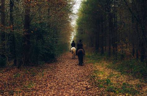 Where to find equestrian trails on public lands in the PA Wilds ...