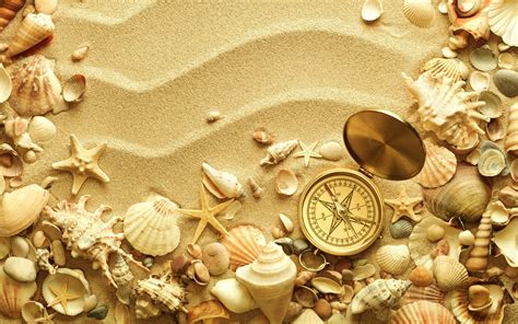 Free download Ocean Sand Shells HD Wallpaper Background Images ...