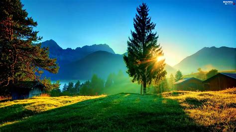 rays of the Sun, trees, Meadow, Fog, Mountains - Beautiful views wallpapers: 2560x1440