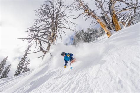 Solitude Mountain Resort: Perfection at the Top of a Canyon ...