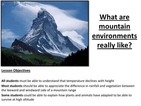 What are Mountain Environments Really Like