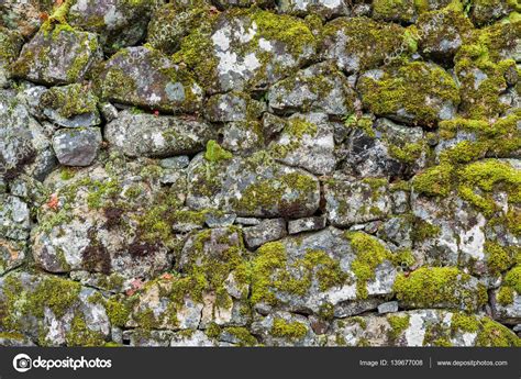 Stone wall with moss background Stock Photo by ©leungchopan 139677008