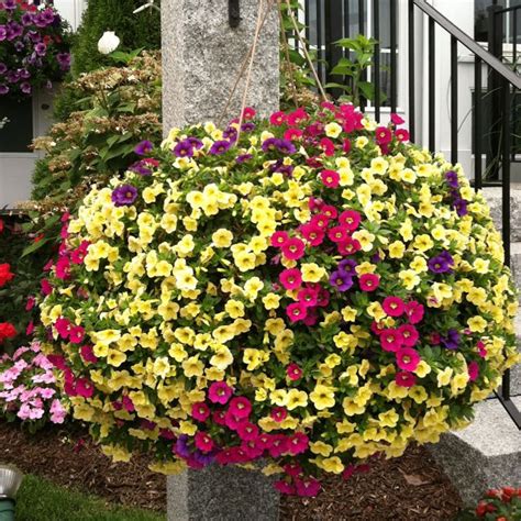 Beautiful Basket of flowers. | How My Garden Grows... | Pinterest | Flowers, Garden ideas and ...