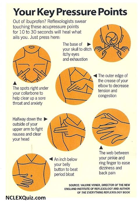 Your Key Pressure Points Cheat Sheet - NCLEX Quiz