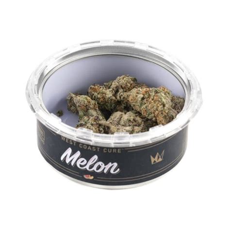 MELON – weed-fans.com