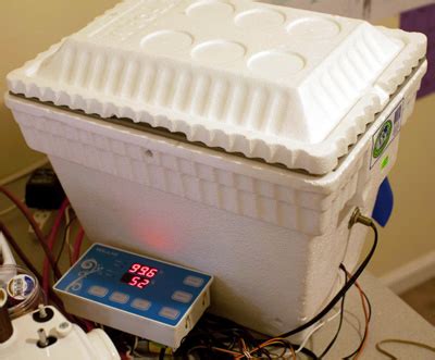 Build Your Own Chicken & Duck Incubator