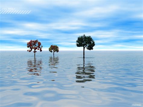 Sea Trees by stax303 on DeviantArt