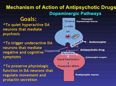 slsi.lk - how long for sulfatrim to work | What is the mechanism of action of antipsychotic ...