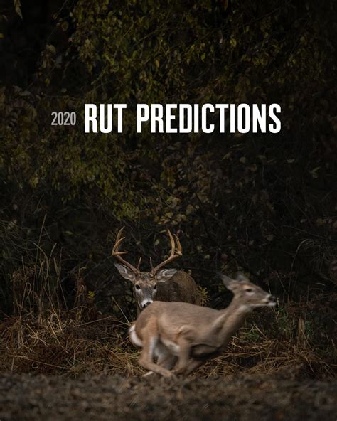 2021 Deer Rut Forecast | Calendar Printables Free Blank