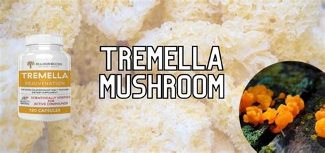 Tremella Mushroom - Snow Fungus Uses, Benefits & Side Effects - Drug Genius