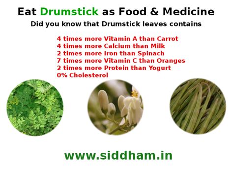 Medicinal Uses or Health Benefits of Moringa Oleifera - Drumstick