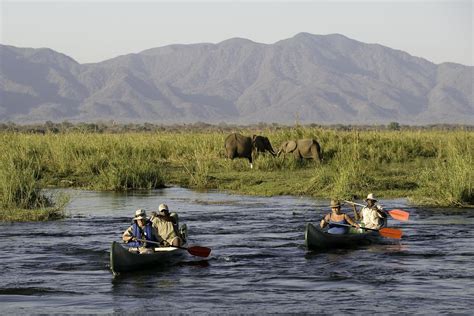 1 Day Arusha National Park Safari | Tanzania Wildlife Safaris Tours