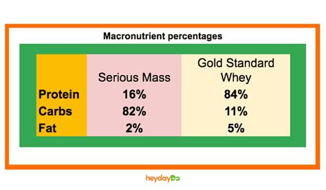 Whey Protein vs Mass Gainer: 7 Important Differences - heydayDo.com