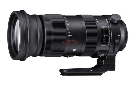 Sigma Going To Release Five New Lenses (Canon EF mount & mirrorless)