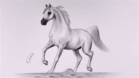 تعليم الرسم كيفية رسم حصان - Learn how to draw a horse | Horses, Drawings, Draw