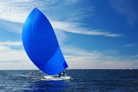 10 Different Types of Sails (Plus Interesting Facts)