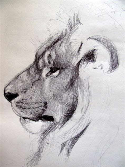 40+ Easy Animal Sketches Drawing Ideas | Animal sketches, Cute animal ...