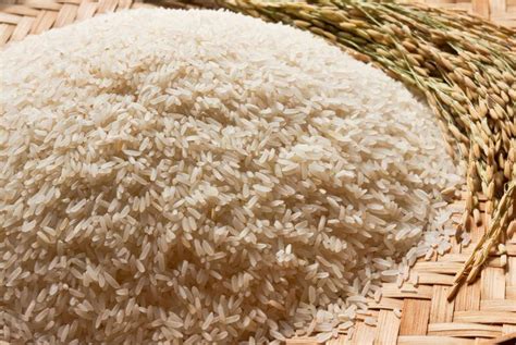 What is Bharat Rice? After Atta, Indian Govt Introduces Rice Costing ₹29/Kg. Here's All About It