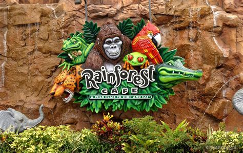 Photo Gallery for Rainforest Cafe® at Disney Springs Marketplace at ...