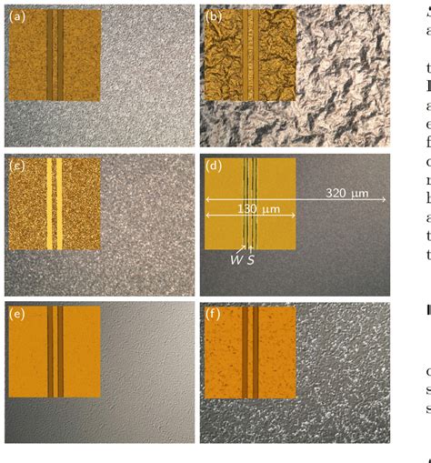 DIC microscopy (background) and standard optical microscopy (insets) of... | Download Scientific ...