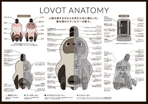 LOVOT – The New Companion Robot to overcome loneliness