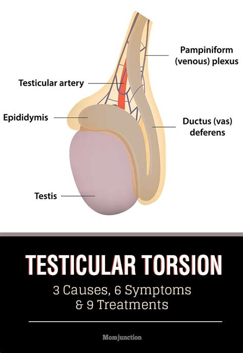 Testicular Torsion Diagnostic Test