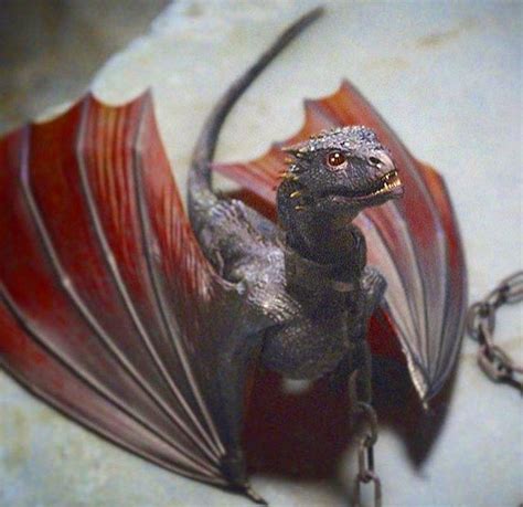 House of the Dragon ♡ on Instagram: “Baby Drogon 🐲” | Game of thrones ...