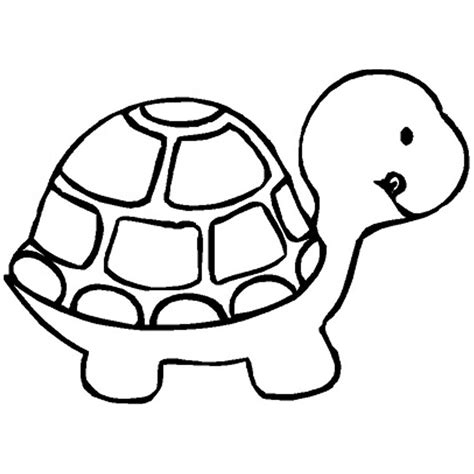 Desenho de Tartaruga pequena para colorir - Tudodesenhos