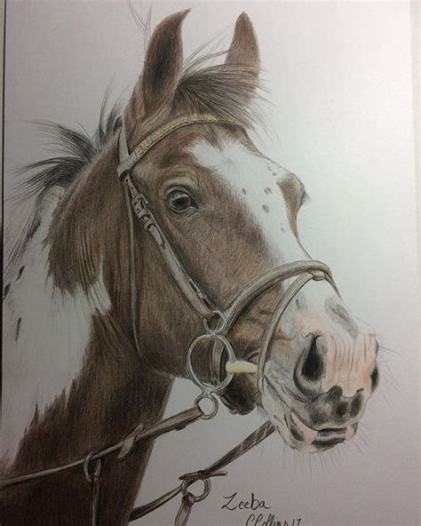 Horse Drawings In Pencil