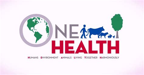 Is Nigeria first country to launch One Health Strategic Plan in Africa ...