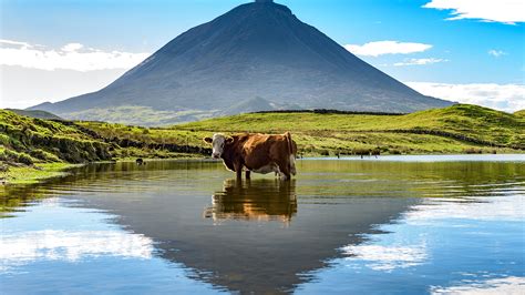 Mt Pico | | Sights - Lonely Planet