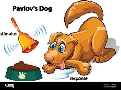 Pavlov's Dog Experiment Vector illustration Stock Vector Image & Art - Alamy